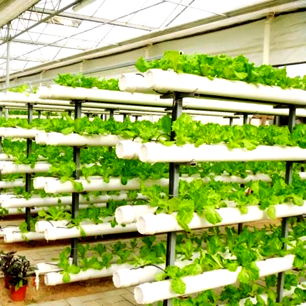Sistemas de Cultivo Hidropônic - Hydroponic Tower avaliação e preço
