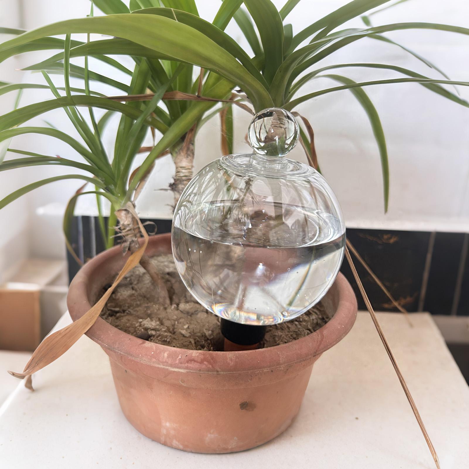 Bolas de Rega Automática para  - Plant Sensor avaliação e preço