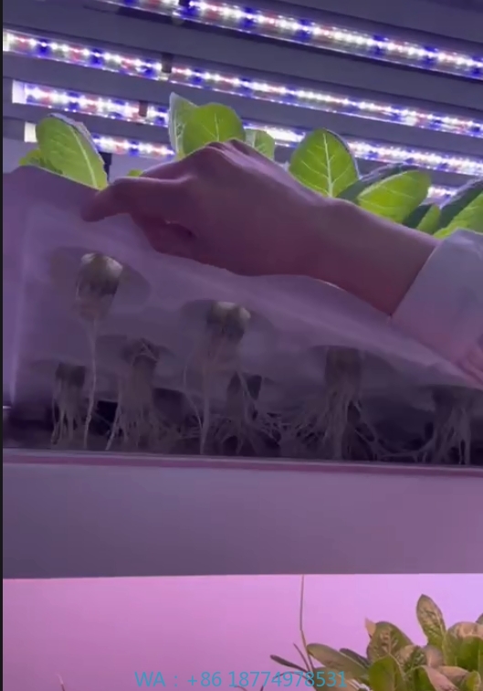 F Estufa Equipamento Agrícola  - Hydroponic Tower avaliação e preço