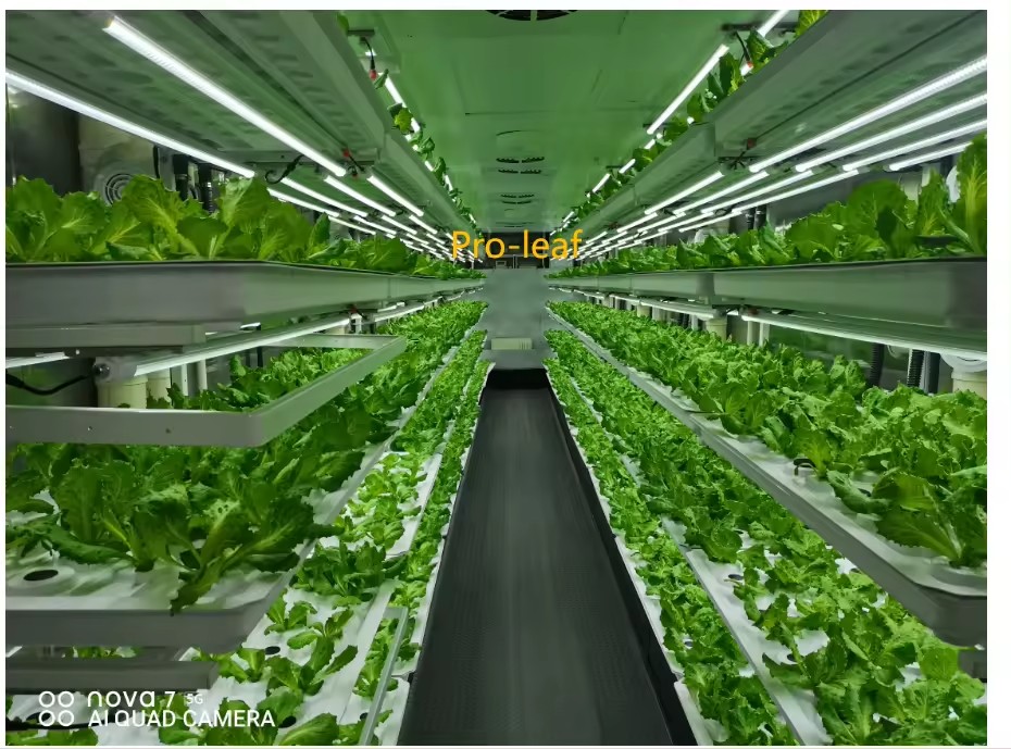 F Estufa Equipamento Agrícola  - Hydroponic Tower avaliação e preço