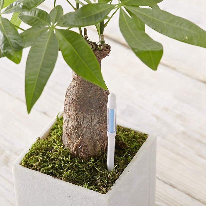 Aquameter, 5 peças, Sensor de  - Plant Sensor avaliação e preço