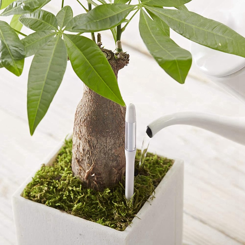 Aquameter, 5 peças, Sensor de  - Plant Sensor avaliação e preço