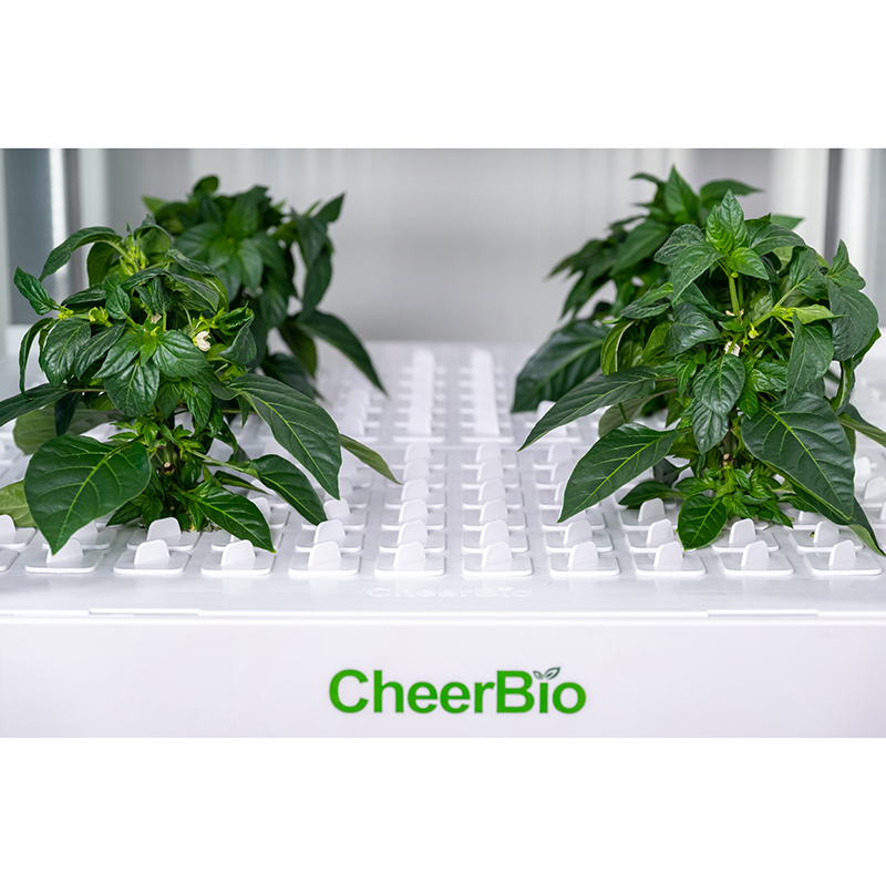 Novo Sistema de Plantio Inteli - Smart Garden System avaliação e preço
