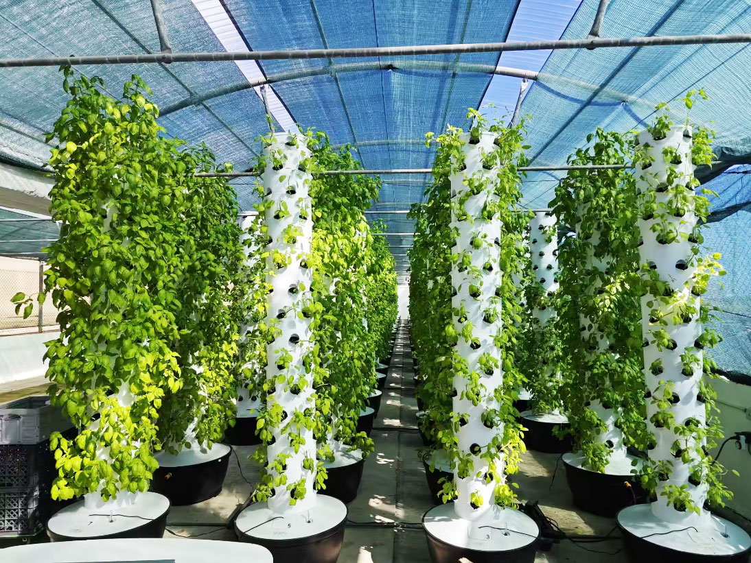 Sistema de Cultivo Vertical Hi - Hydroponic Tower avaliação e preço