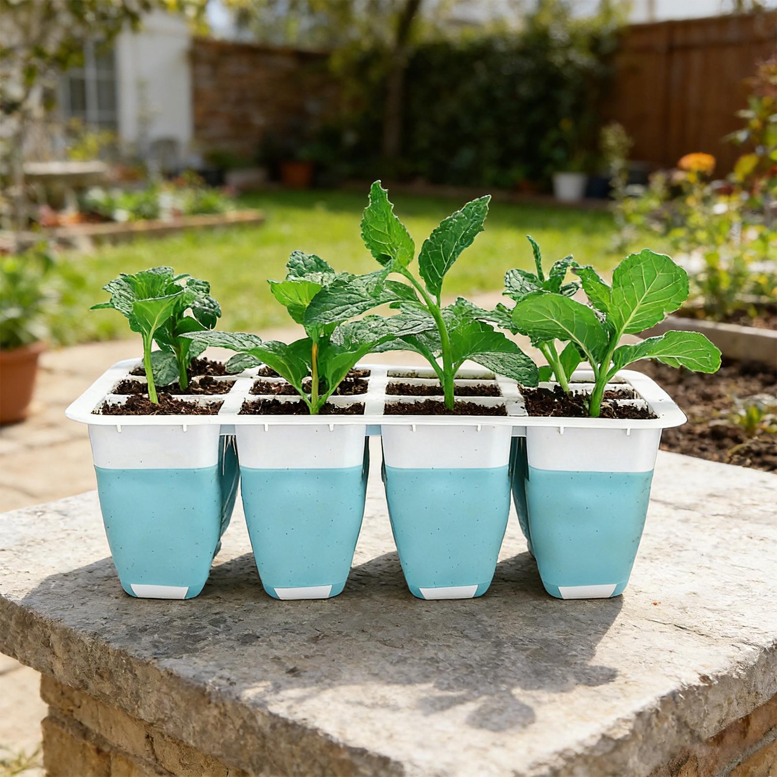 Kit de Germinação de Sementes  - Indoor Garden Kit avaliação e preço