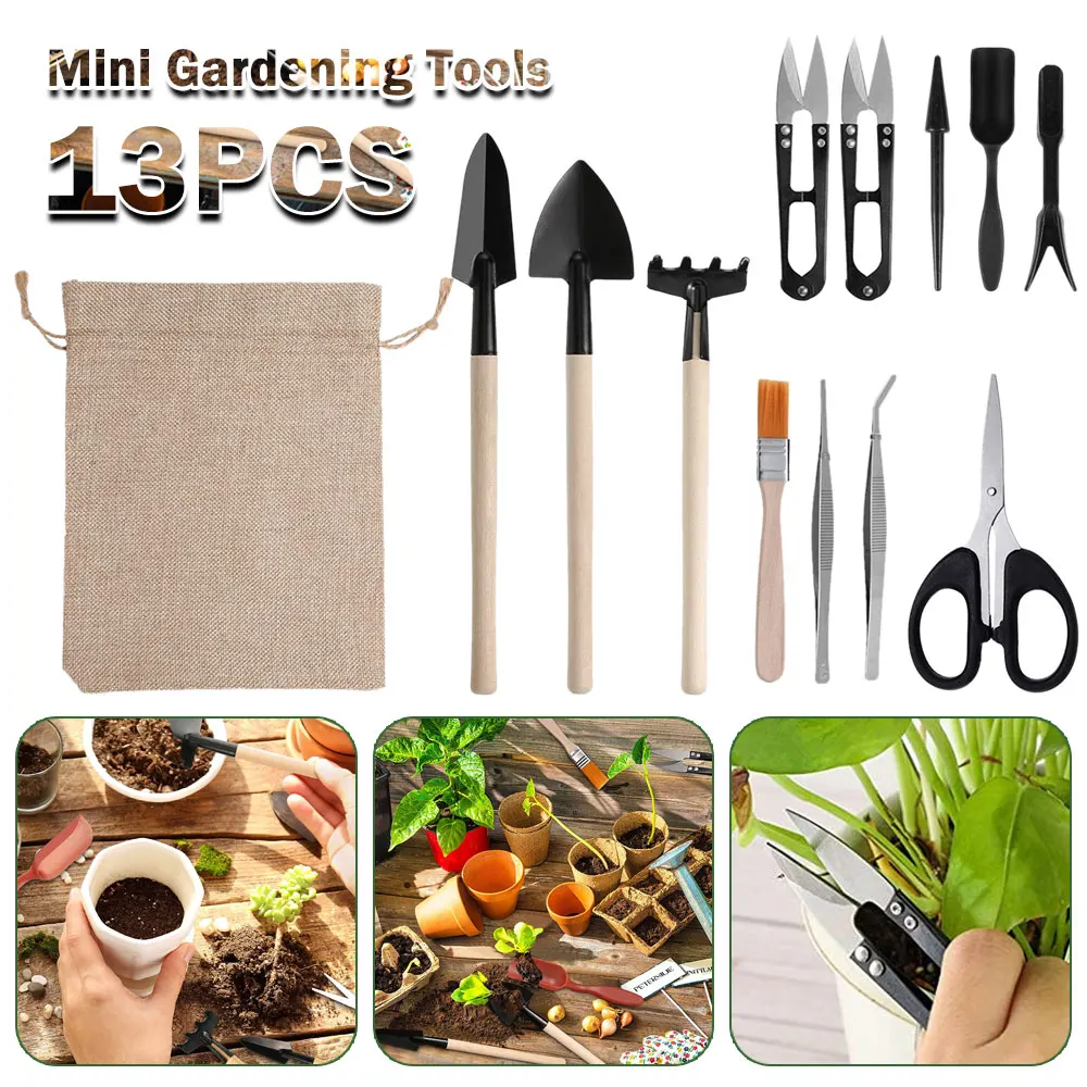 Indoor suculentas plantas conj - Indoor Garden Kit avaliação e preço
