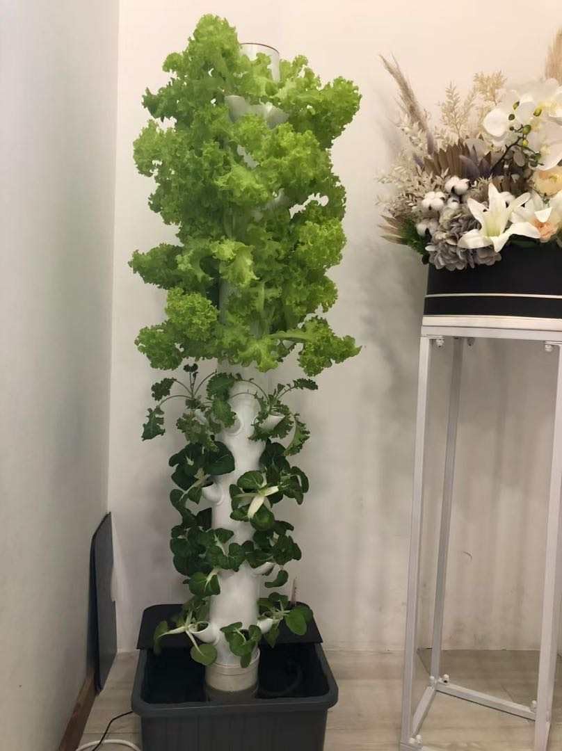 Torre de Cultivo Hidropônico V - Hydroponic Tower avaliação e preço