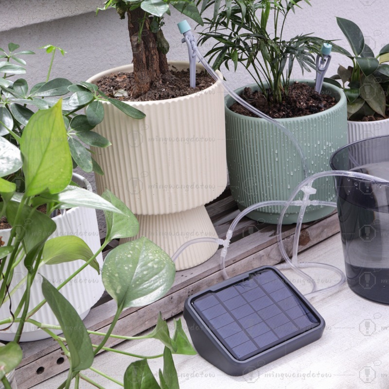 Dispositivo de Irrigação Autom - Automatic Watering avaliação e preço