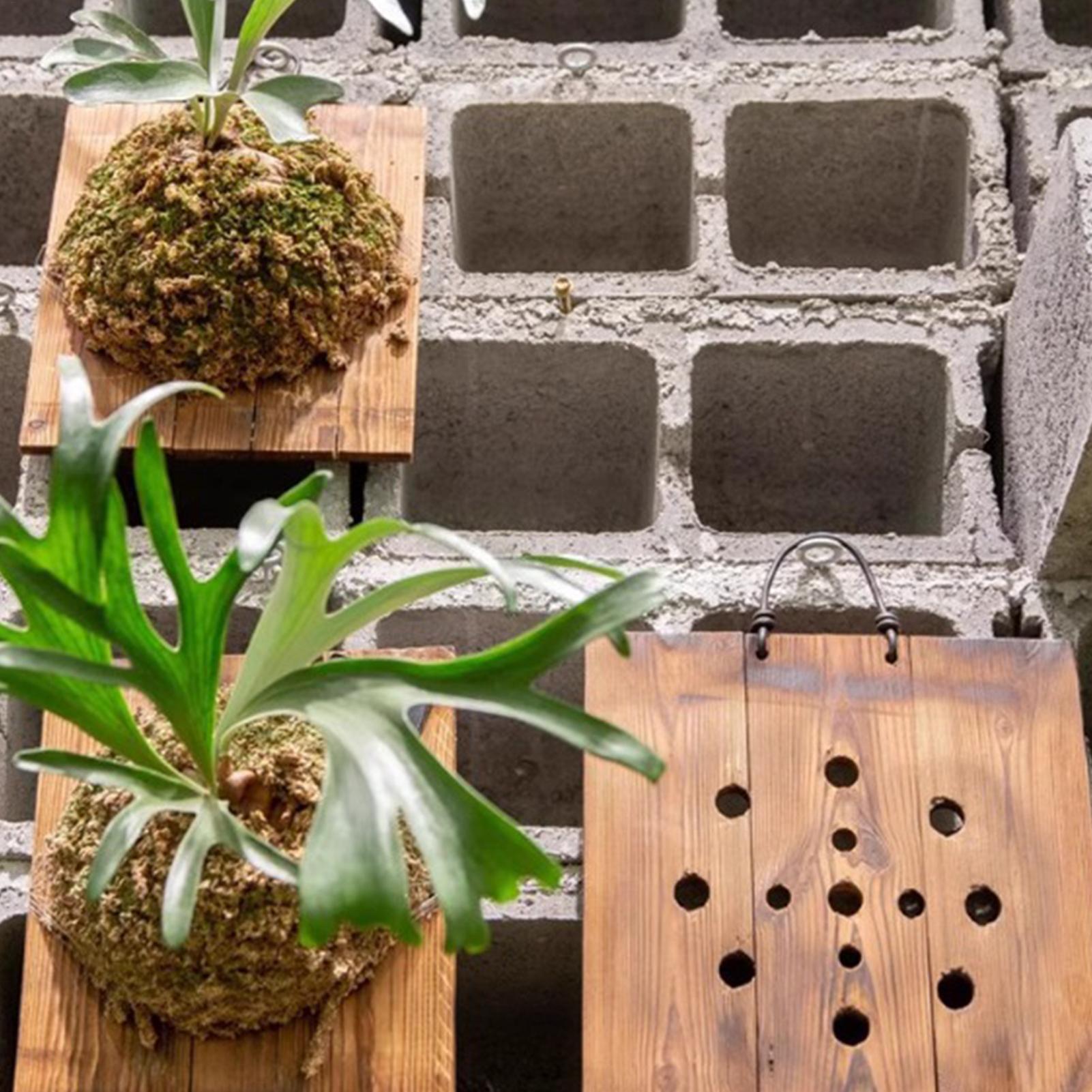 Placa de Montagem em Parede pa - Indoor Garden Kit avaliação e preço