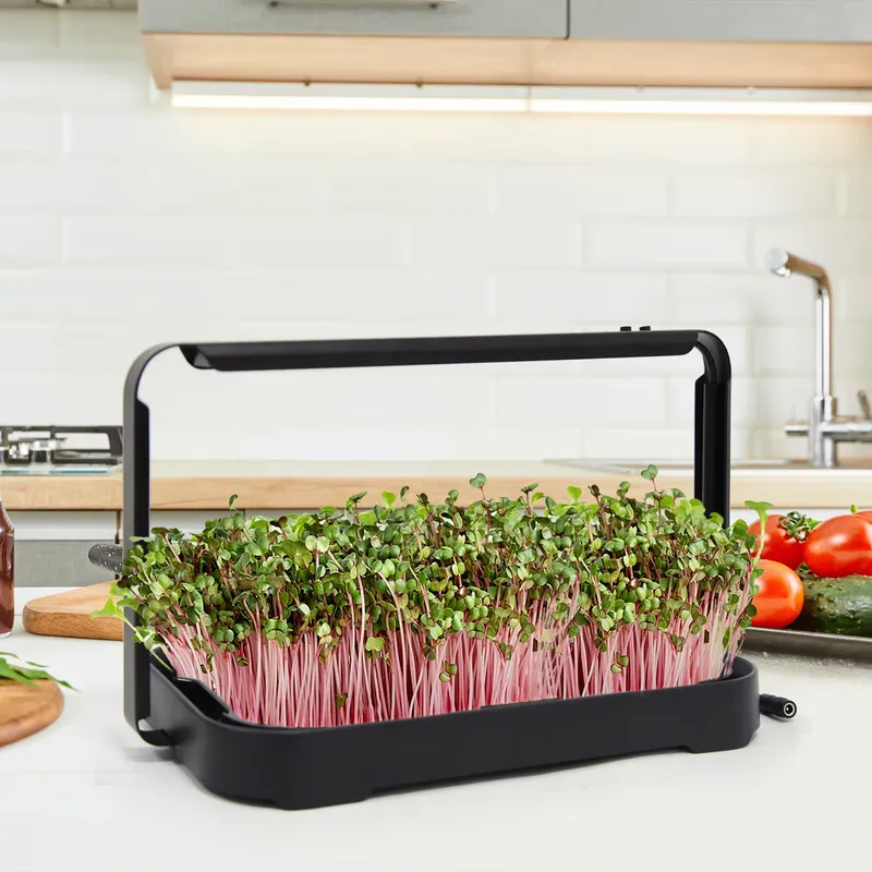 Bandeja Hidropônica para Culti - Smart Garden System avaliação e preço