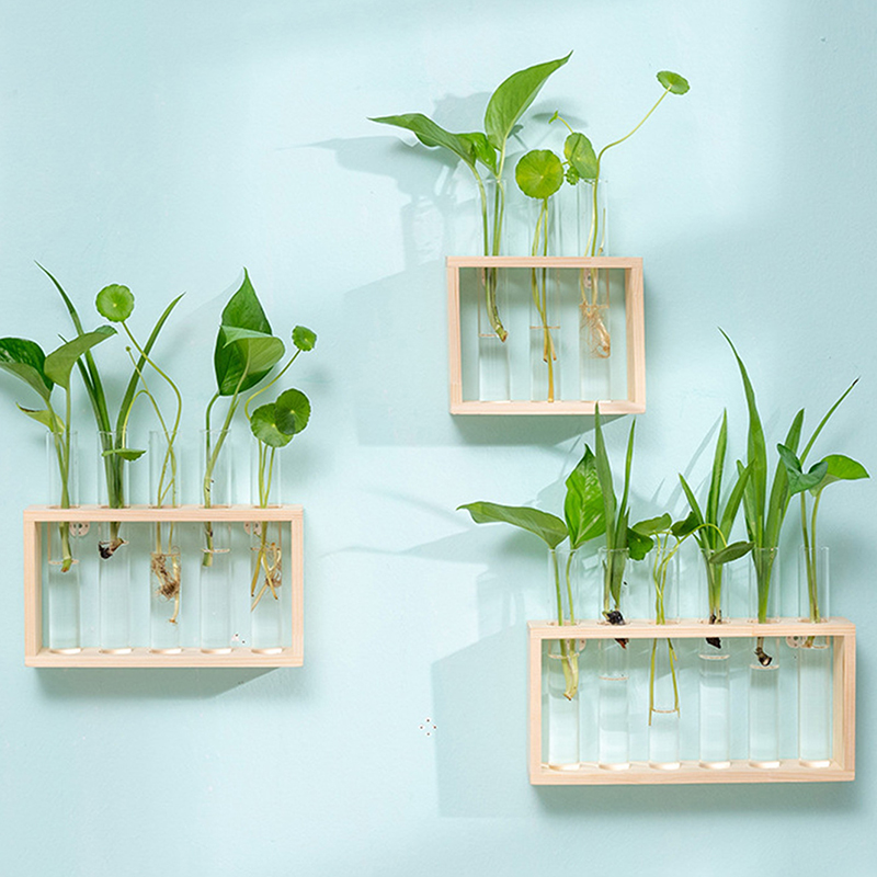 Recipiente de plantas hidropôn - Hydroponic Grow Pod avaliação e preço